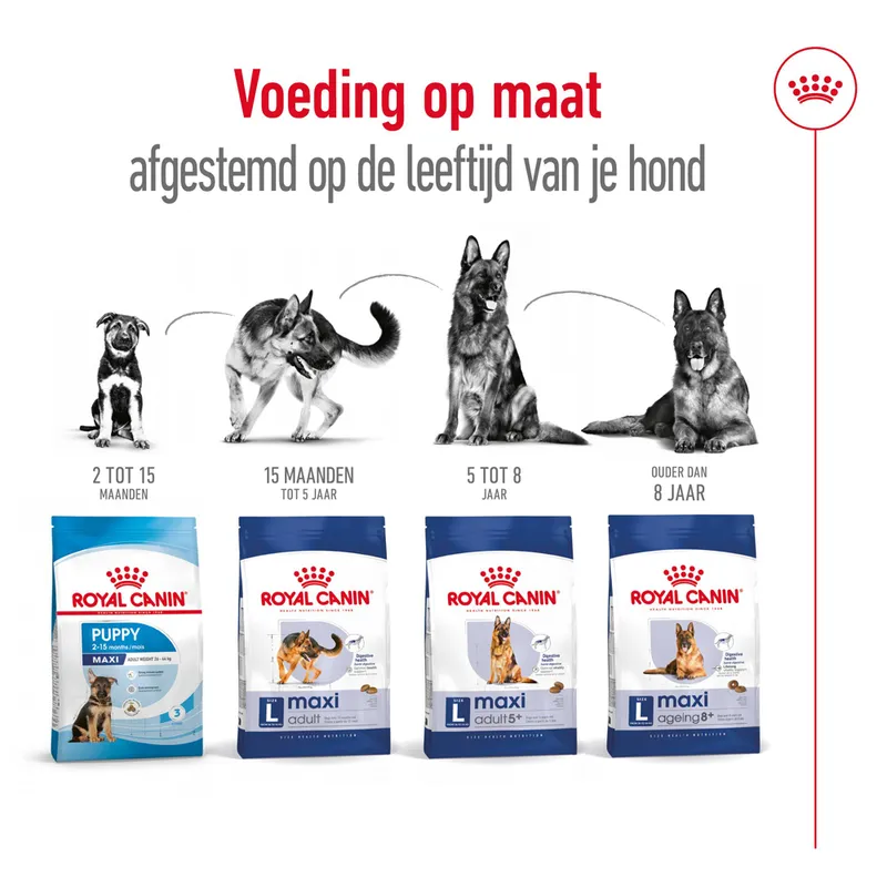 Royal Canin Maxi Adult - Afbeelding 8