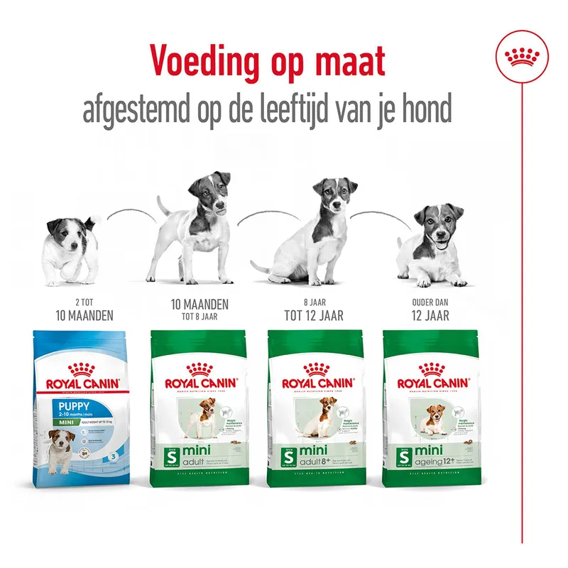 Royal Canin Mini Adult +8 - Afbeelding 9