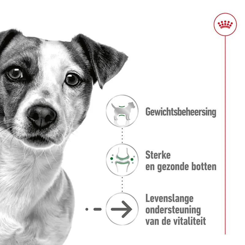 Royal Canin Mini Ageing +12 - Afbeelding 12