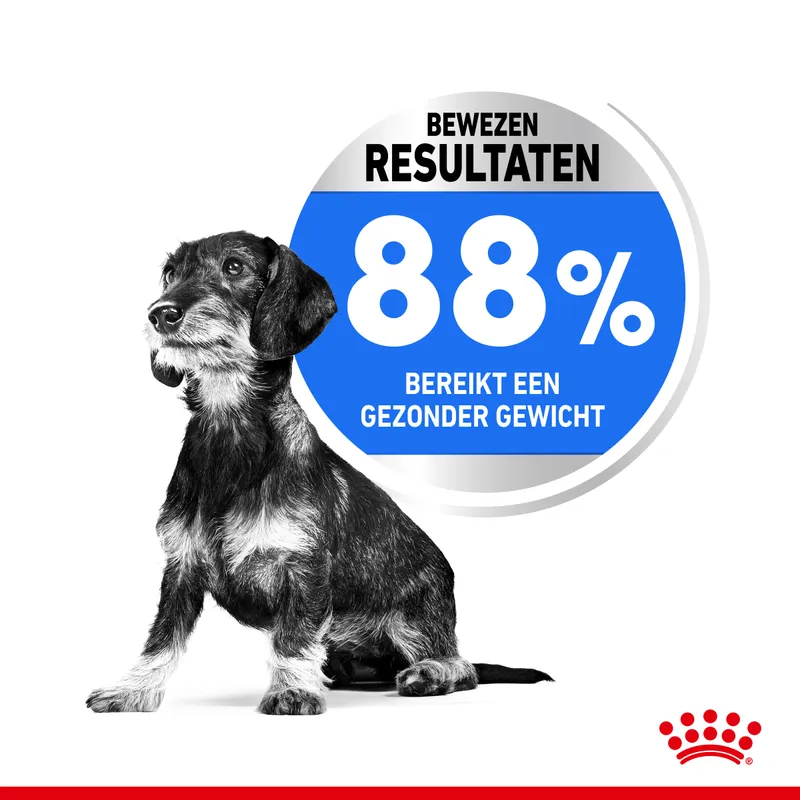 Royal Canin Mini Light Weight Care - Afbeelding 5