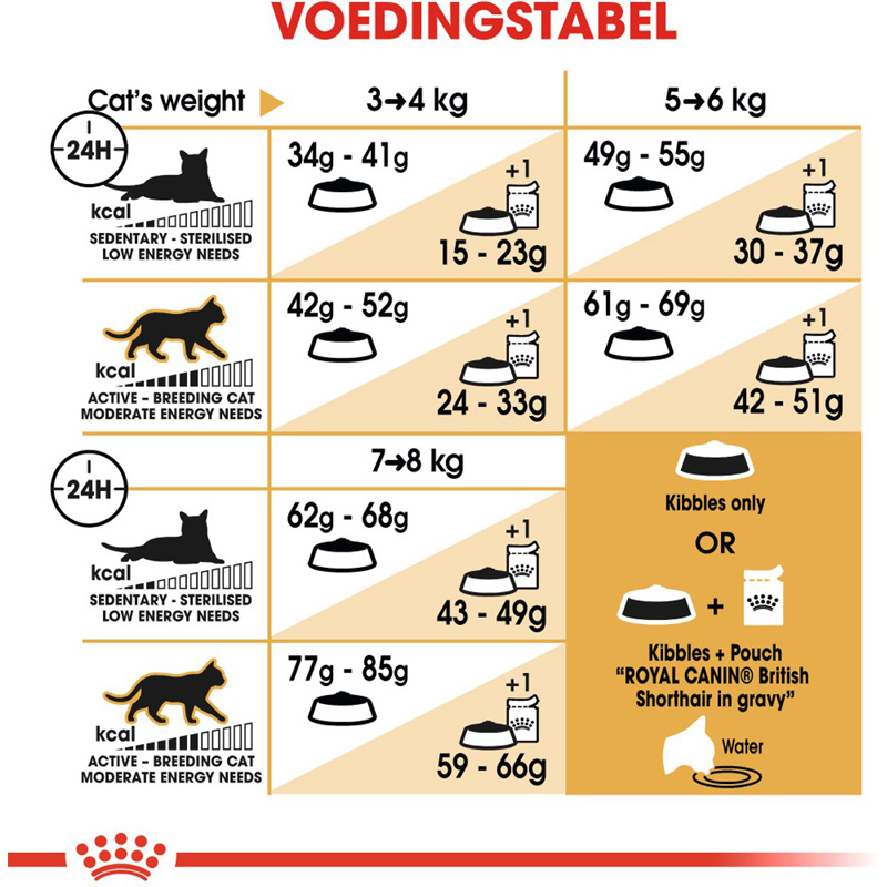 Royal Canin British Shorthair - Afbeelding 4