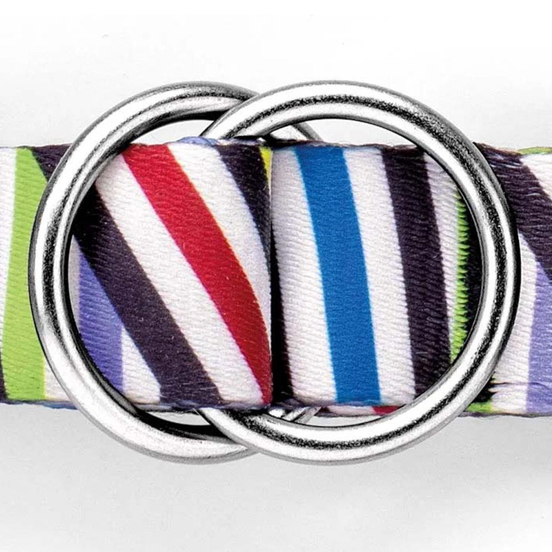 Morso Hondenriem Verstelbaar Gerecycled Spaghetti Incident - Afbeelding 3