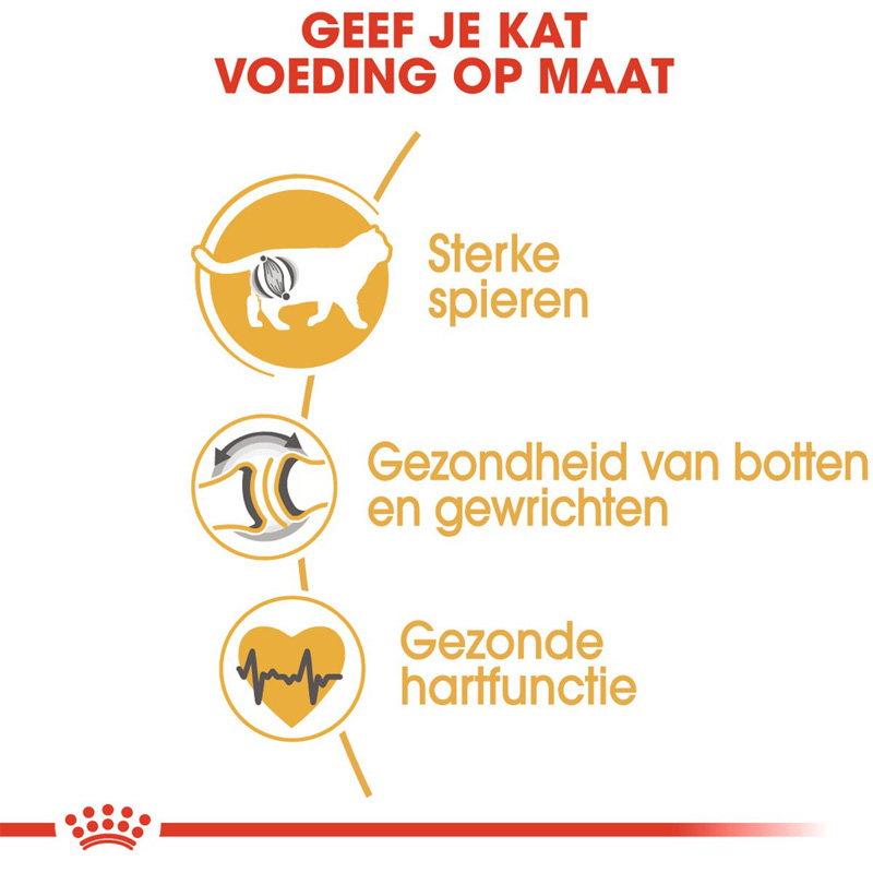 Royal Canin British Shorthair - Afbeelding 5