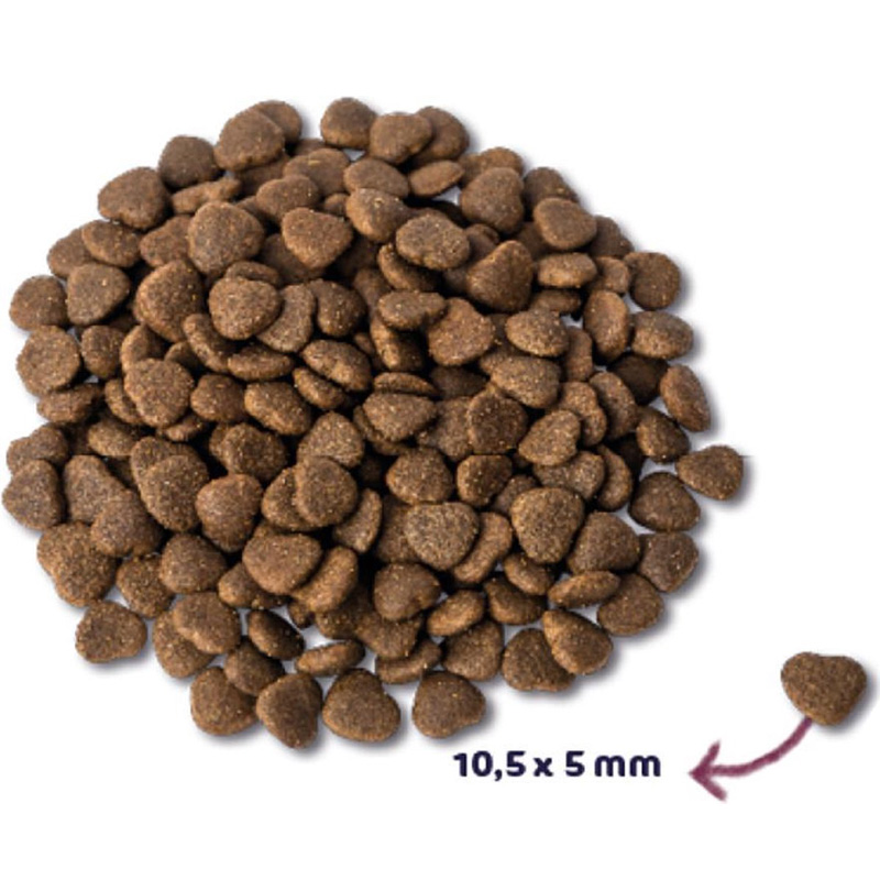 Renske Super Premium Adult Verse Zalm Graanvrij - Afbeelding 3