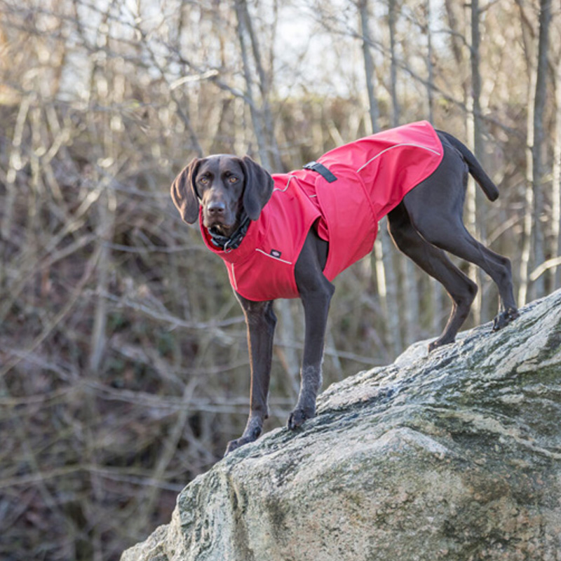 Trixie Regenjas Hond Vimy Rood - Afbeelding 5