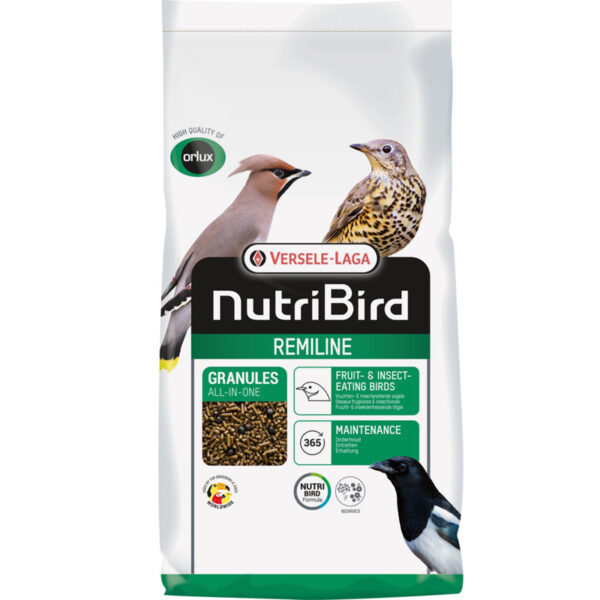 Orlux Remiline Pateekorrel