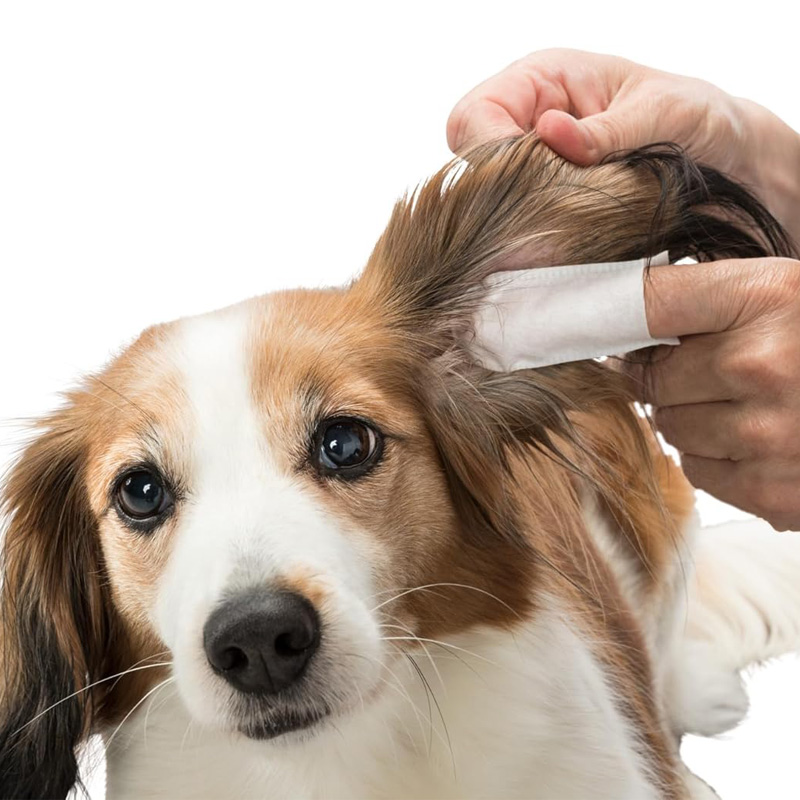 Trixie Ear Care Vingerpads - Afbeelding 2