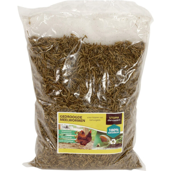 Utopia Meelwormen Voor Kippen En Tuinvogels