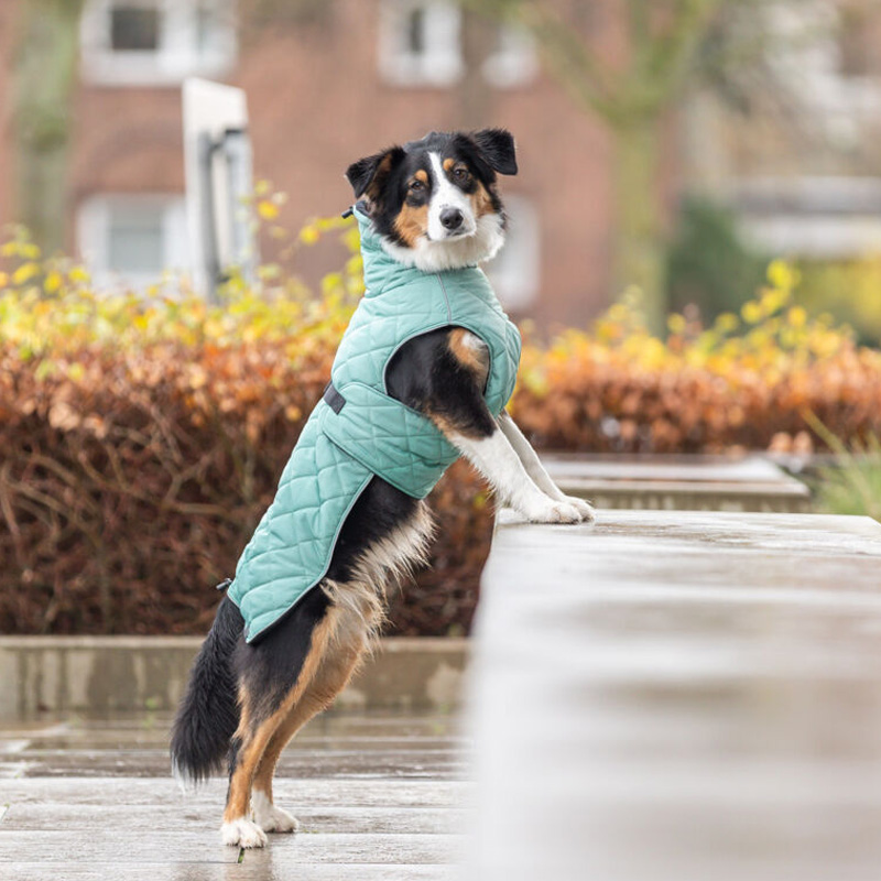 Trixie Citystyle Be Eco Hondenjas Oslo Gerecycled Jade Groen - Afbeelding 3