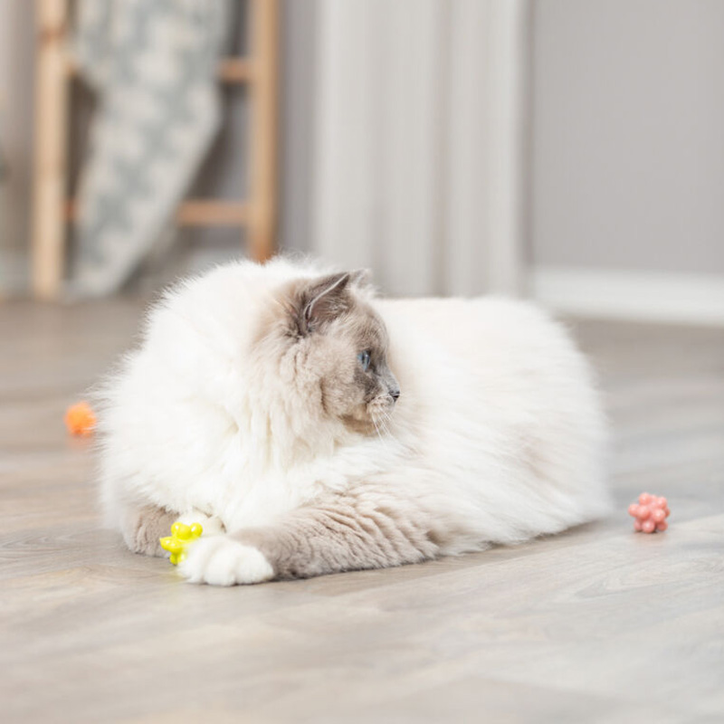 Trixie Noppen Ballen Rubber Assorti - Afbeelding 2