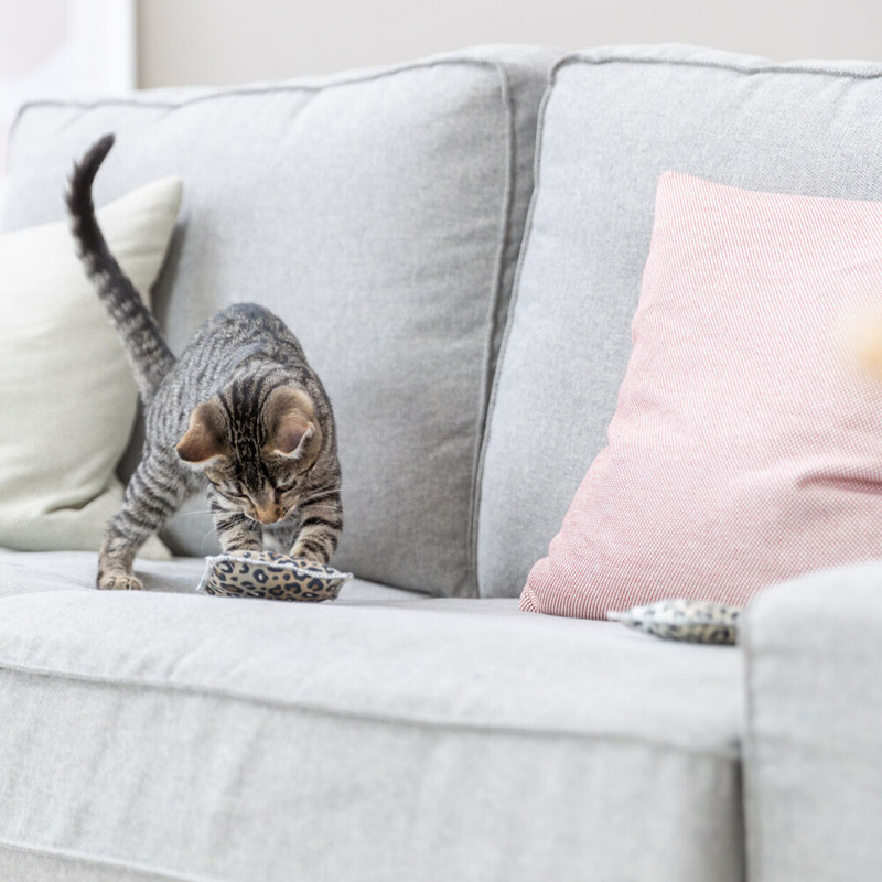 Trixie Speelkussen Leo Panterprint Met Valeriaan Assorti - Afbeelding 3