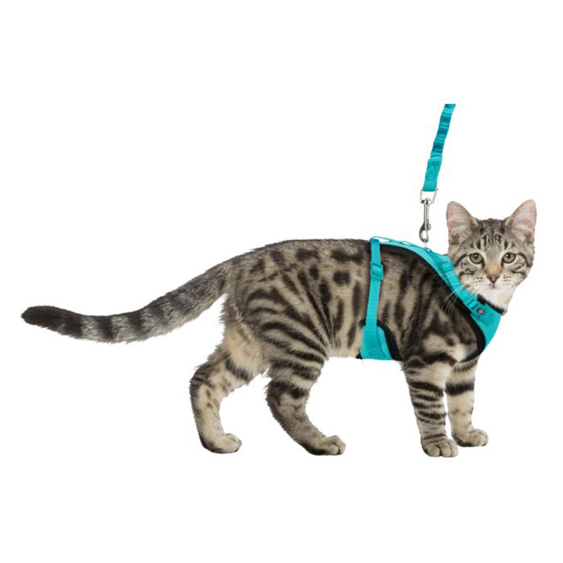 Trixie Kattentuig Mesh Y-Vorm Met Elastische Riem Assorti - Afbeelding 2