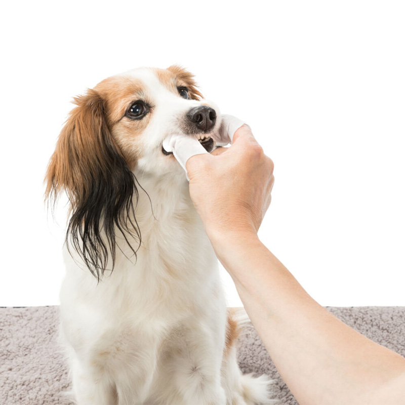 Trixie Dentalcare Vingerpads - Afbeelding 3