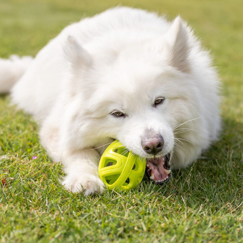 Trixie Honingraat Rugbybal Tpe Assorti - Afbeelding 2