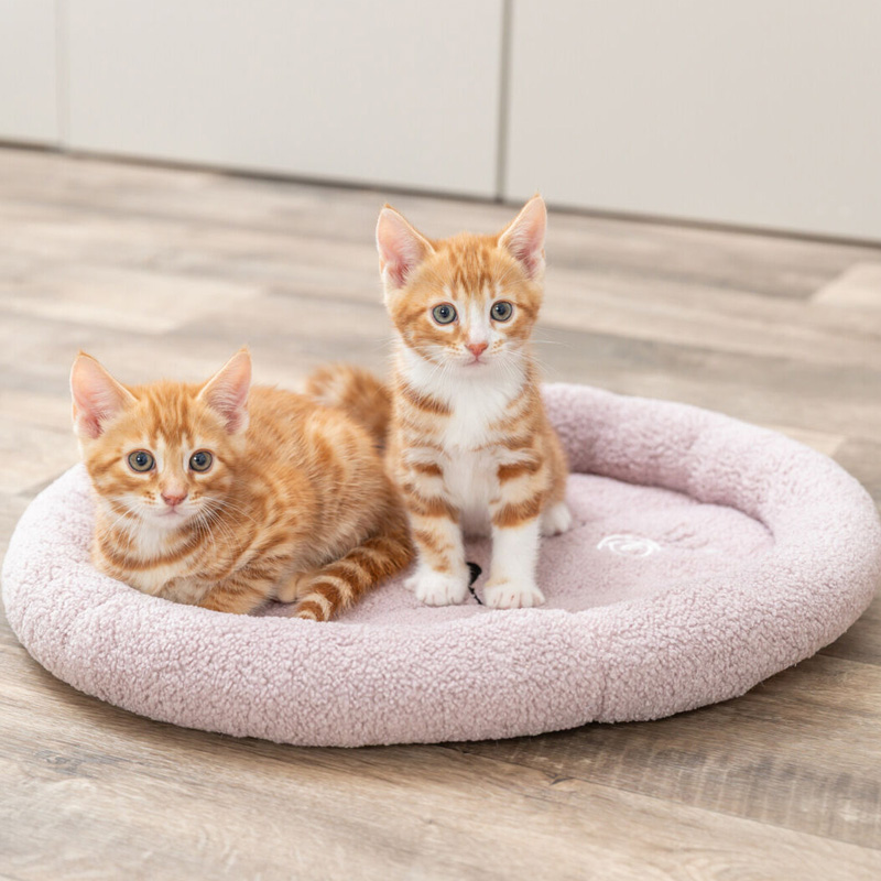 Trixie Kattenmand Junior Lila - Afbeelding 2