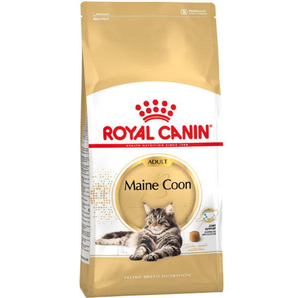 Royal Canin Maine Coon