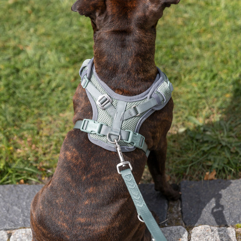 Trixie Hondentuig Premium Flexmesh Brede Borst Saliegroen - Afbeelding 2