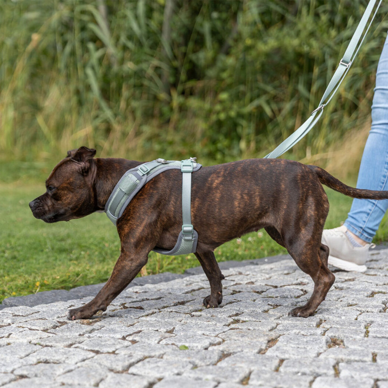 Trixie Hondentuig Premium Flexmesh Brede Borst Saliegroen - Afbeelding 3