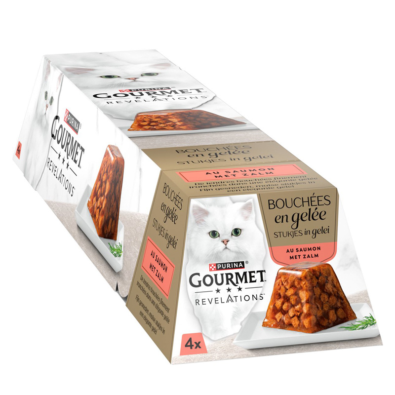 Gourmet Revelations Zalm In Gelei