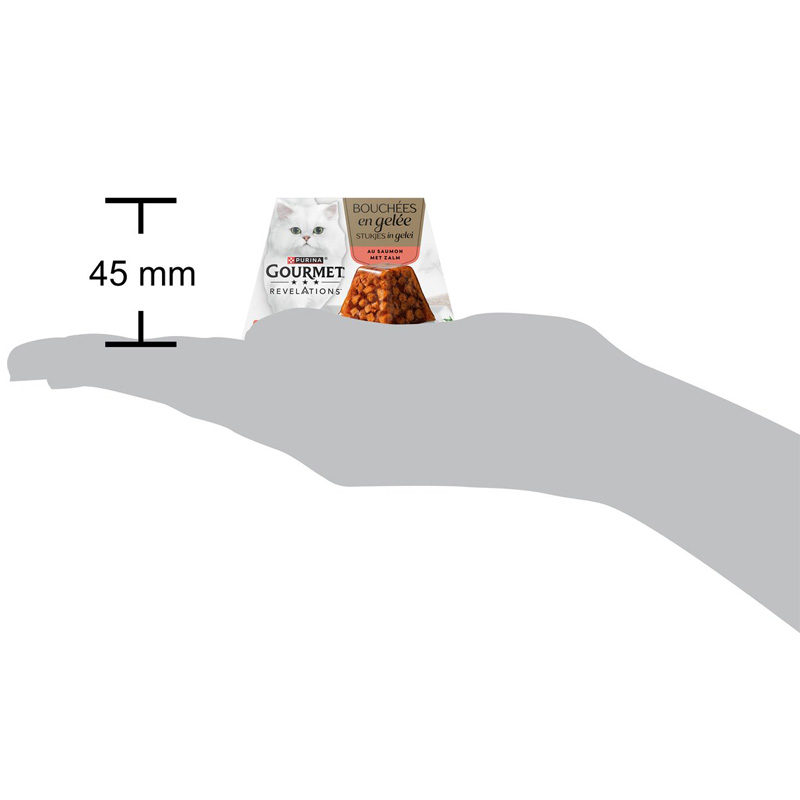 Gourmet Revelations Zalm In Gelei - Afbeelding 2