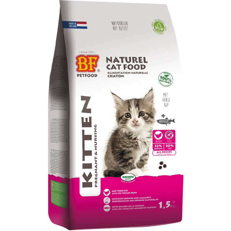 Bf Petfood Premium Quality Kat Kitten Pregnant / Nursing