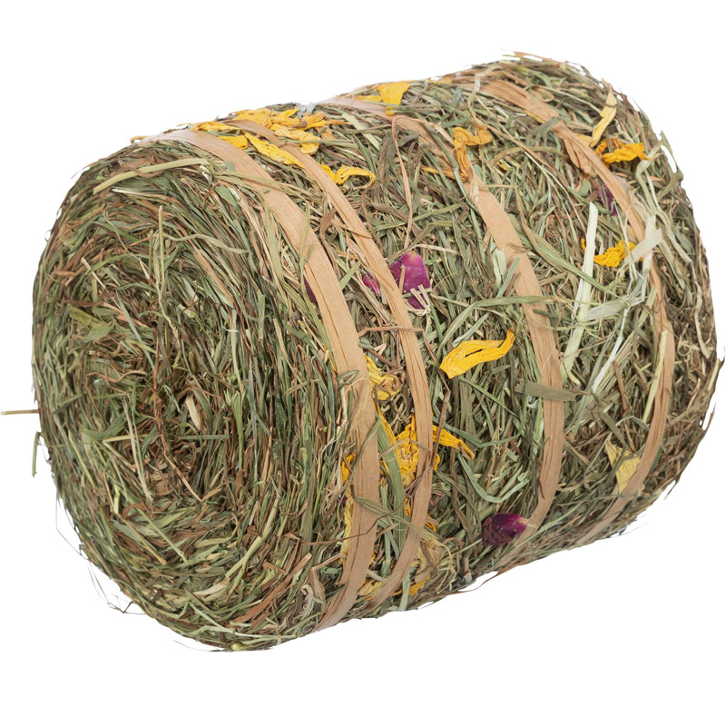 Trixie Hooirol Met Bloesems