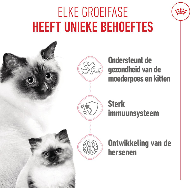 Royal Canin Babycat - Afbeelding 3