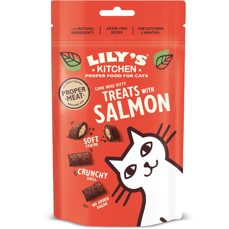 Lily's Kitchen Salmon Treats