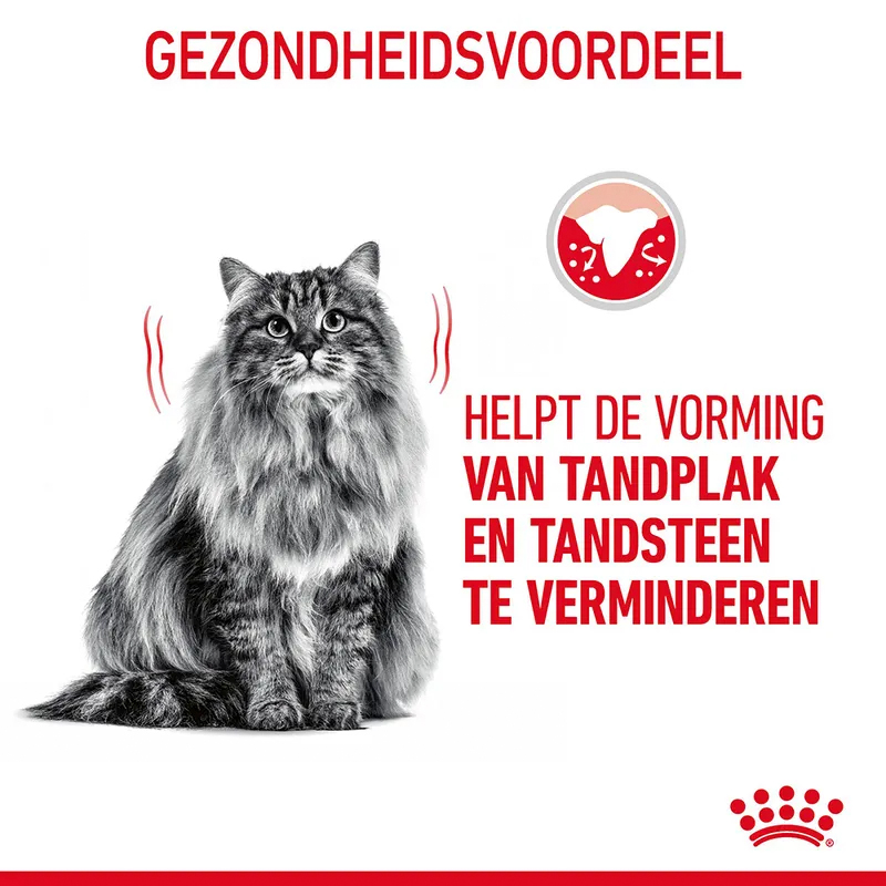 Royal Canin Oral Sensitive - Afbeelding 2