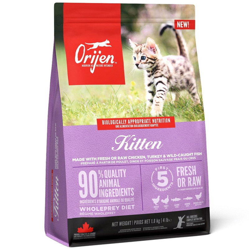 Orijen Kitten
