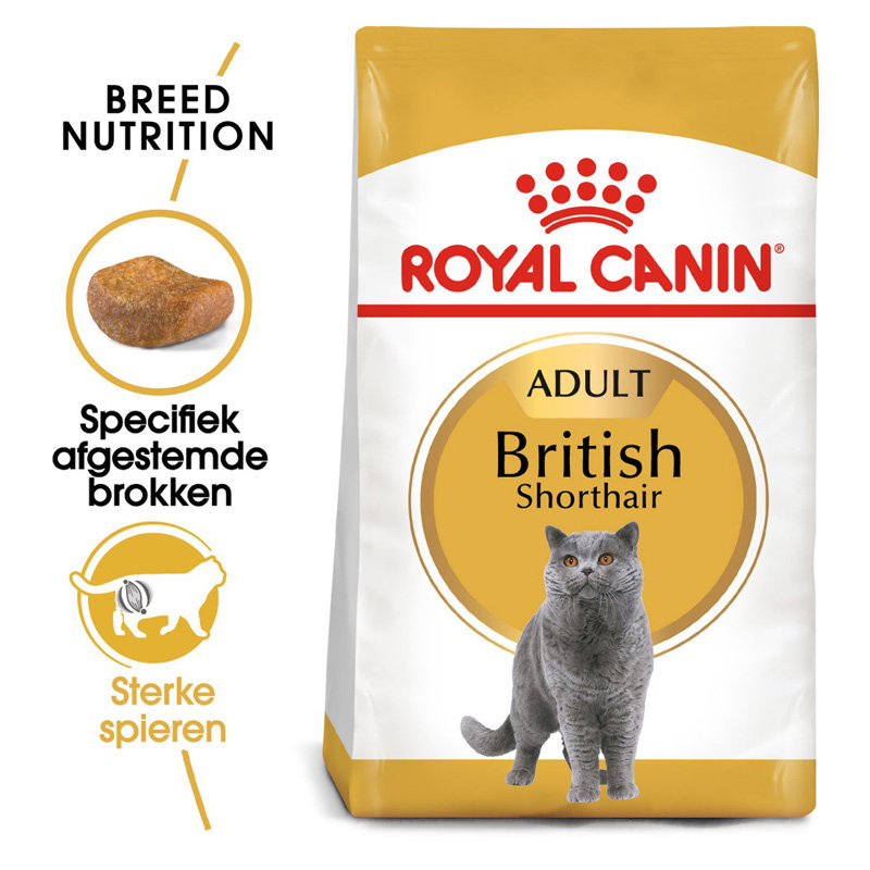 Royal Canin British Shorthair