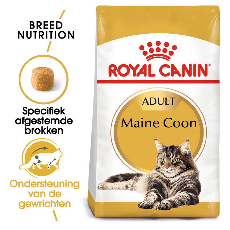 Royal Canin Maine Coon