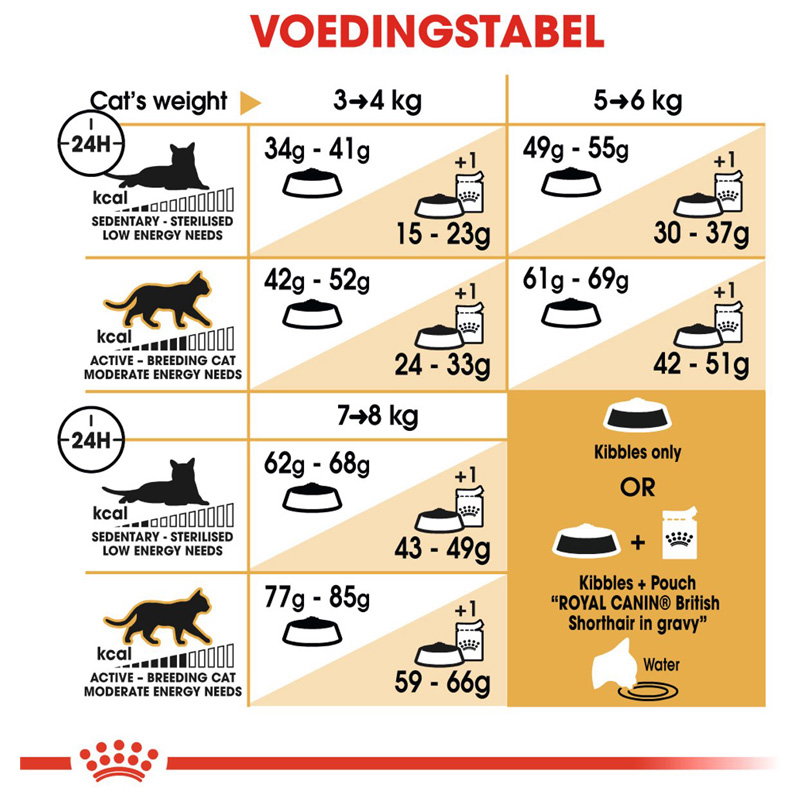 Royal Canin British Shorthair