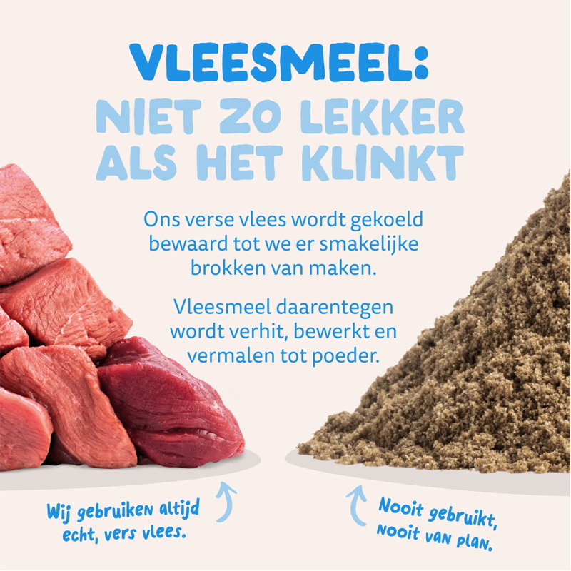 Edgard & Cooper Adult Verse Noorse Zalm Graanvrij