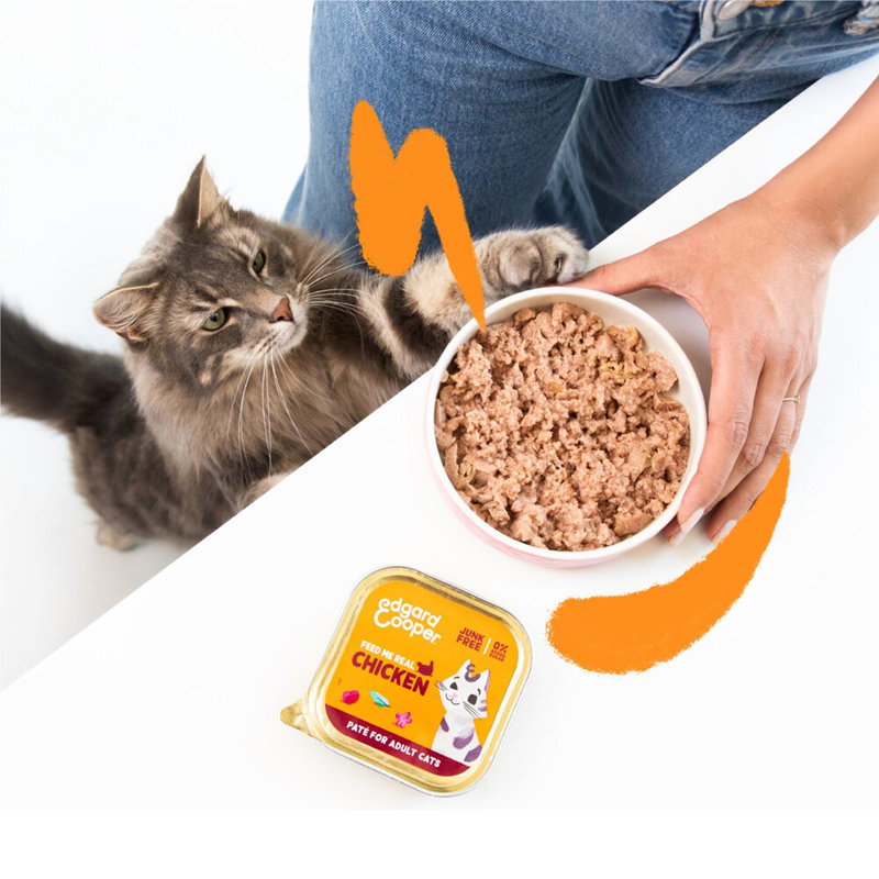 Edgard & Cooper Kat Adult Pate Multipack