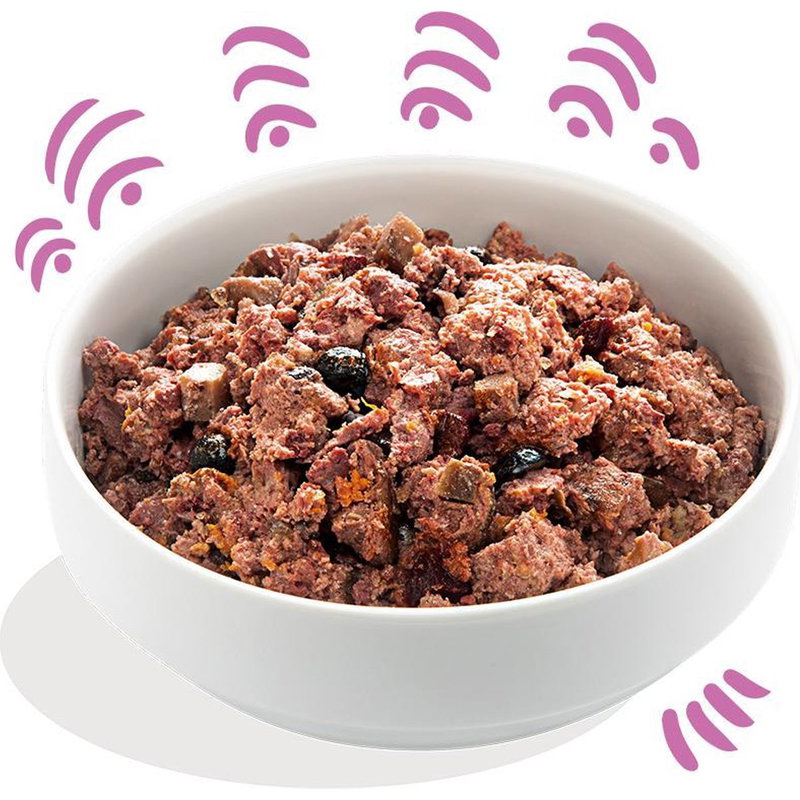 Edgard & Cooper Wild / Eend Blik Graanvrij 6x400gr