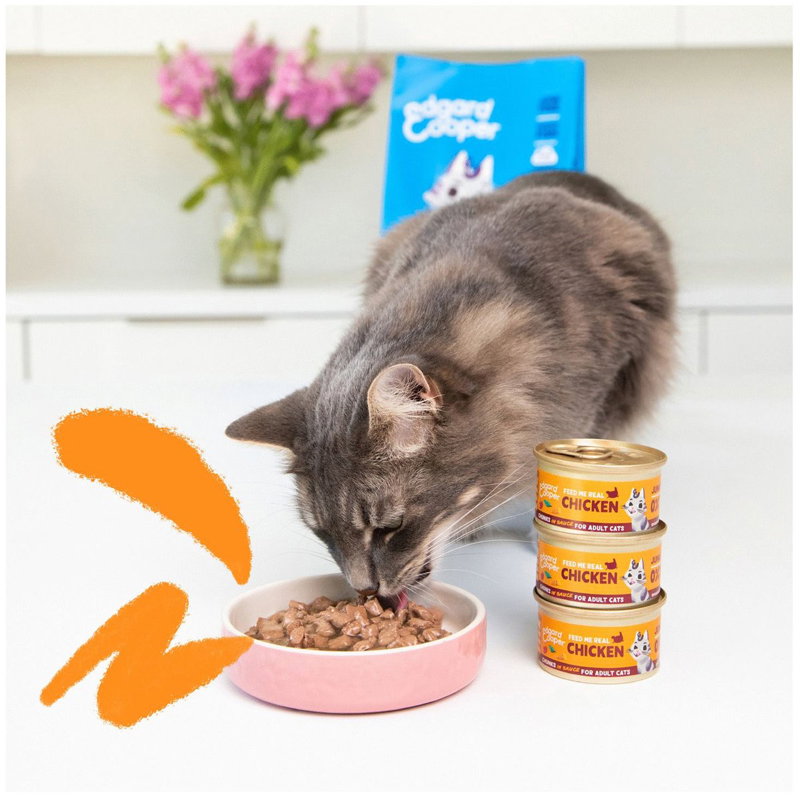 Edgard & Cooper Kat Adult Chunks Multipack