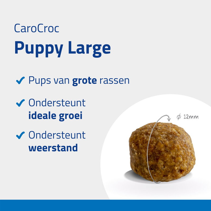 Carocroc Puppy Large Breed 12kg