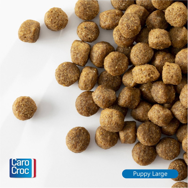 Carocroc Puppy Large Breed 12kg