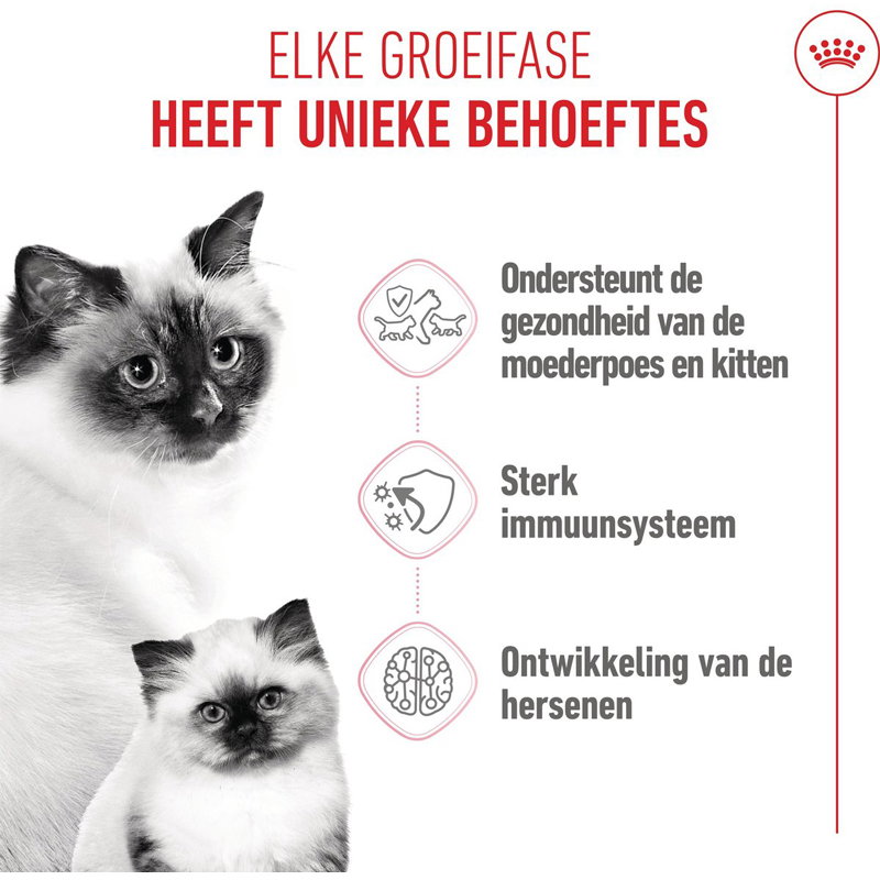 Royal Canin Babycat