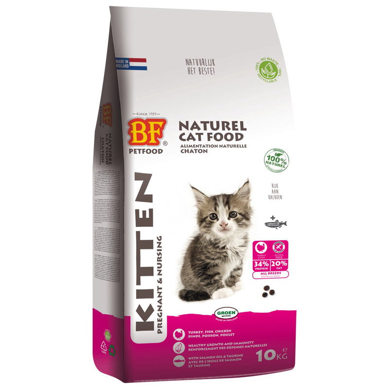 Bf Petfood Premium Quality Kat Kitten Pregnant / Nursing