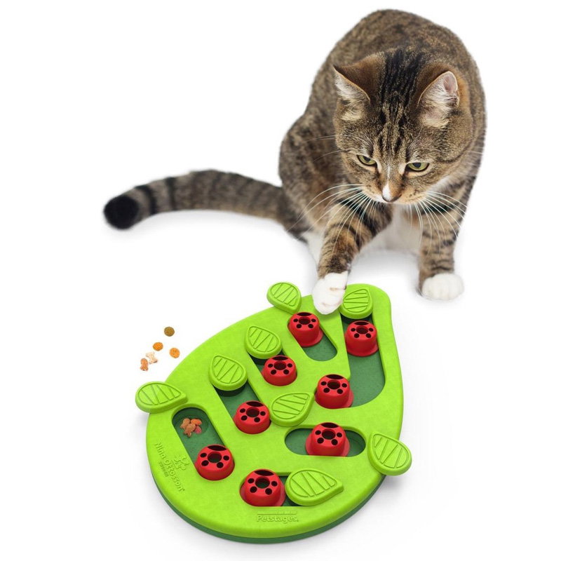 Nina Ottosson Puzzle & Play Buggin Out Groen 35X26X4 Cm