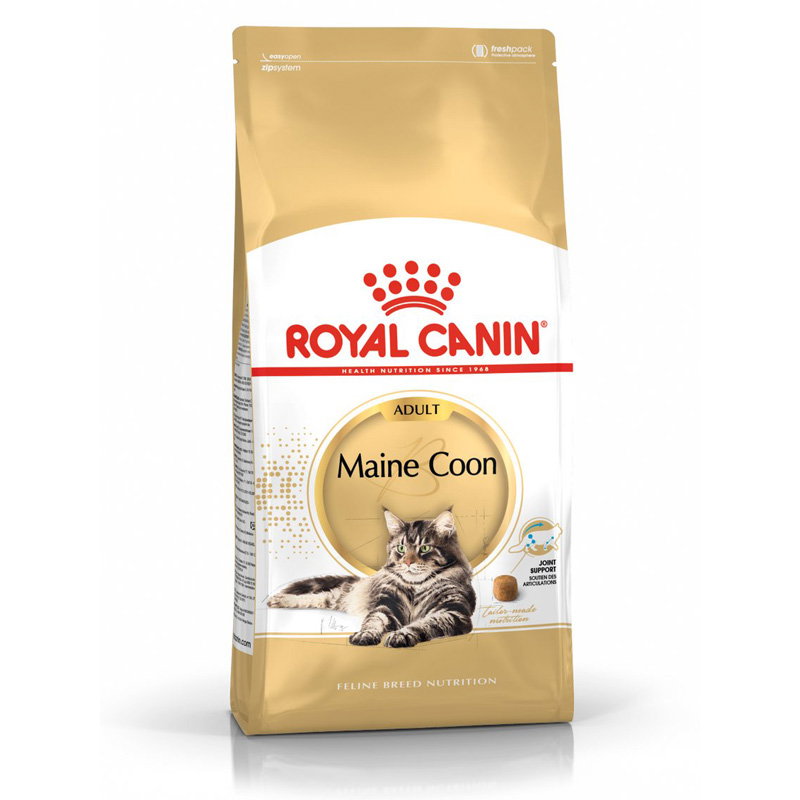 Royal Canin Maine Coon