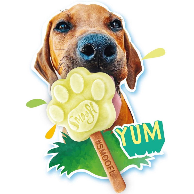 Smoofl Ijsmix Voor Honden Pindakaas