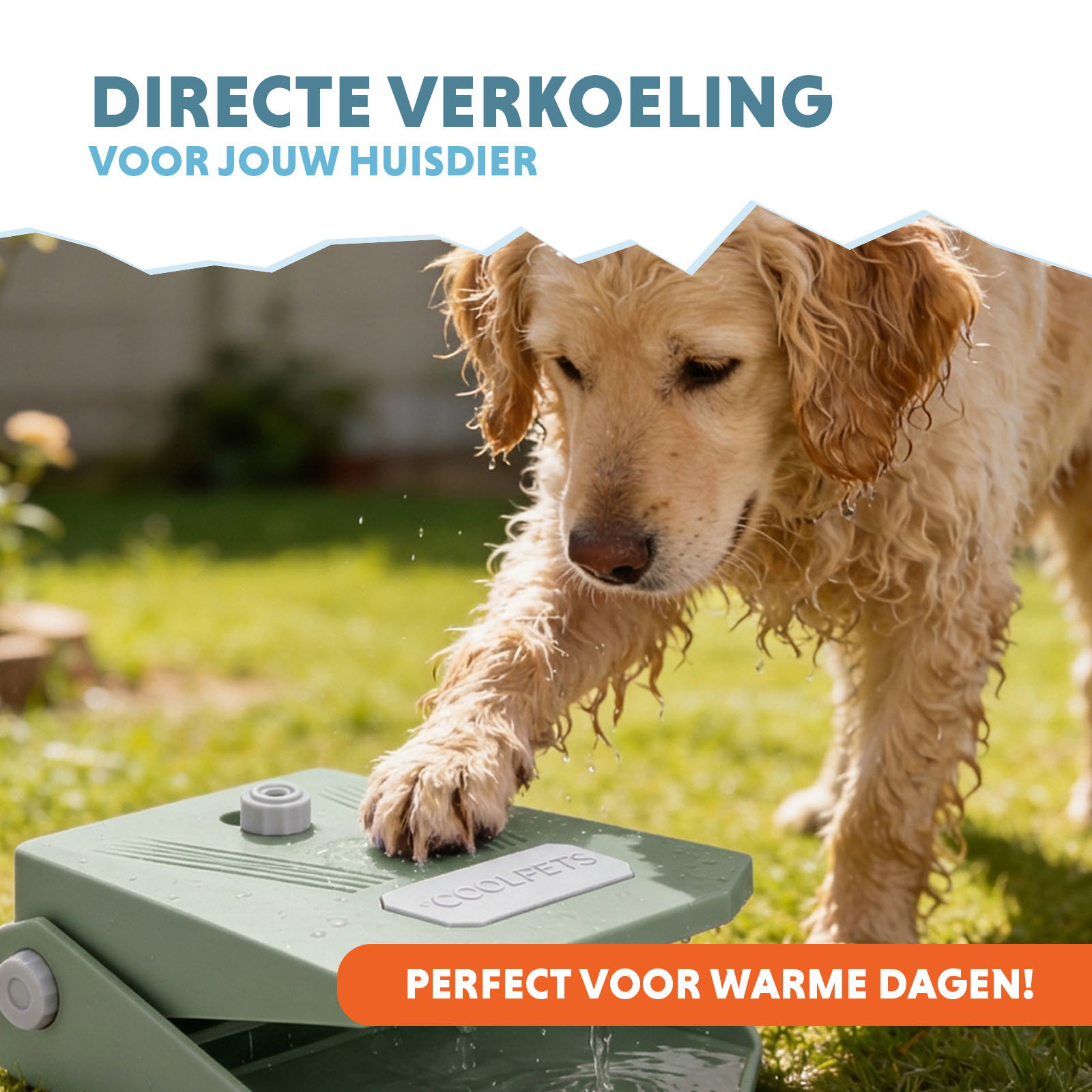 Coolpets Splash Water Fountain Olijfgroen