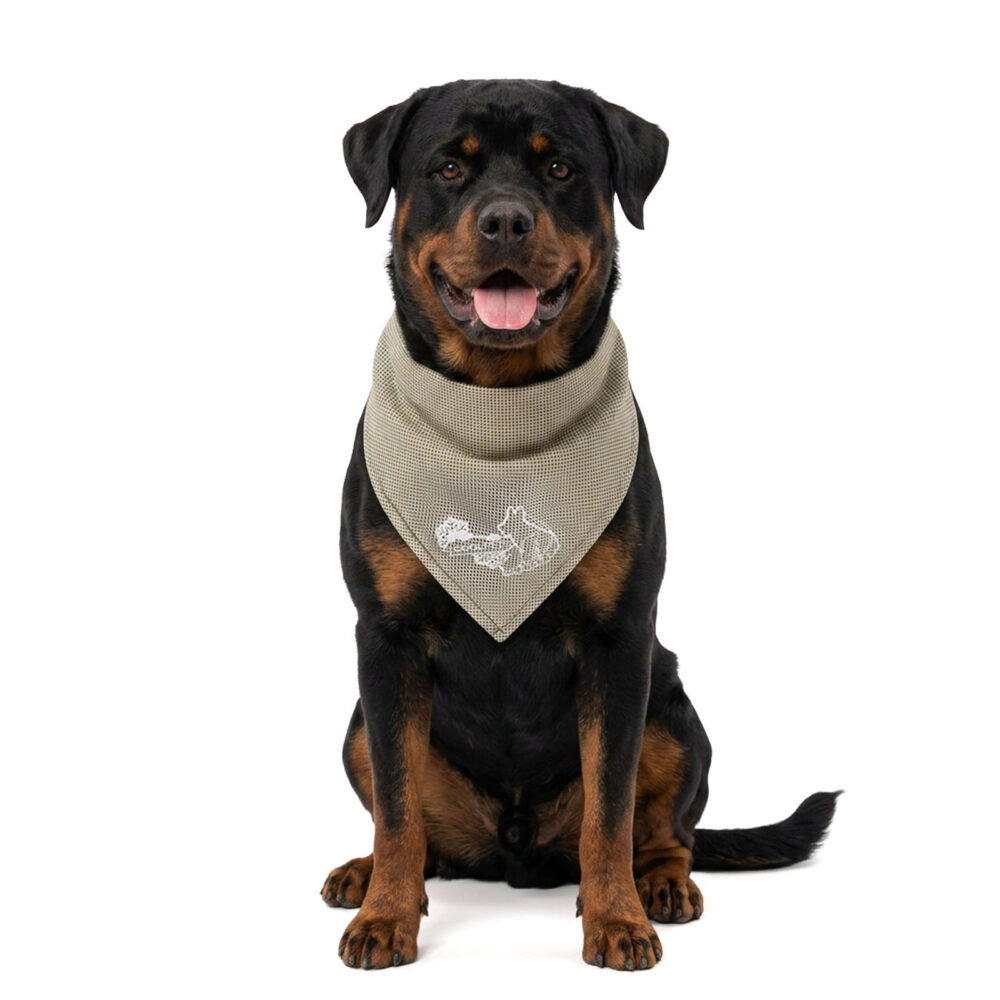 Coolpets Cooling Bandana Beige L