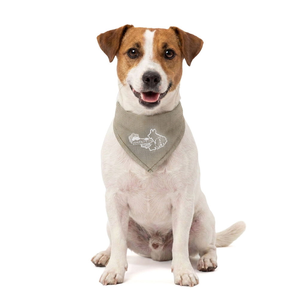 Coolpets Cooling Bandana Beige S