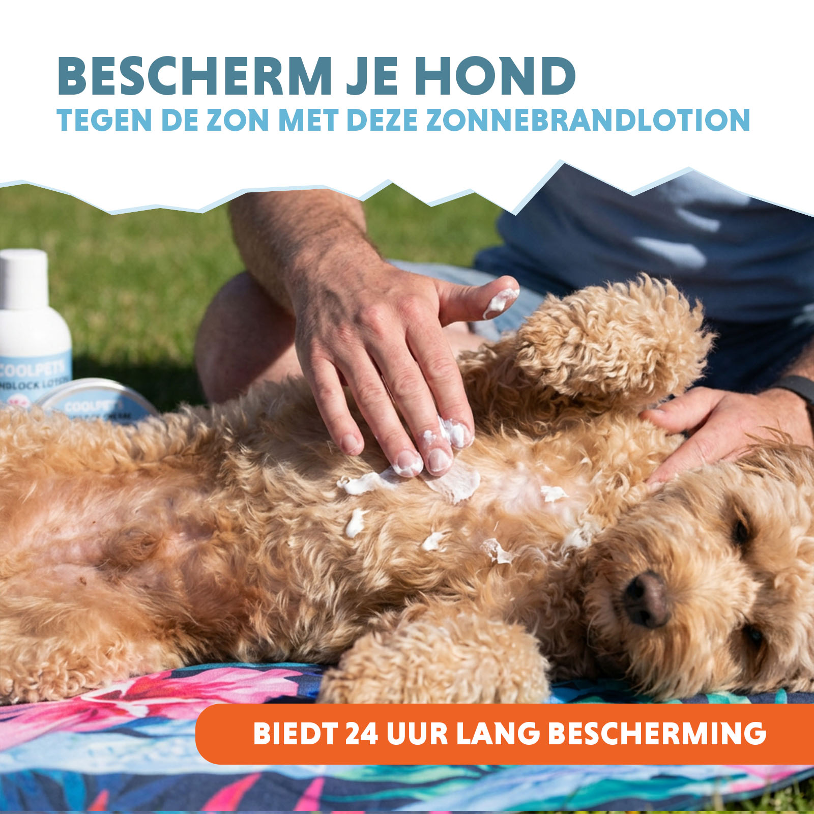 CoolPets Sunblock Lotion