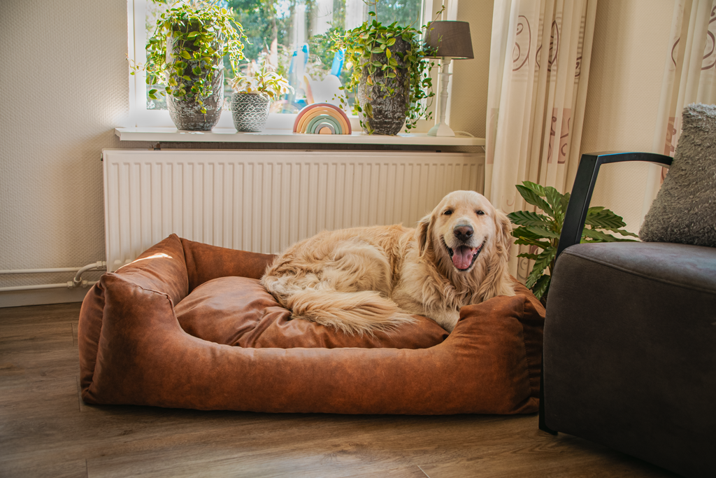 Let's Sleep Sweet Dreams Hondenmand Met Kussen XL Taupe