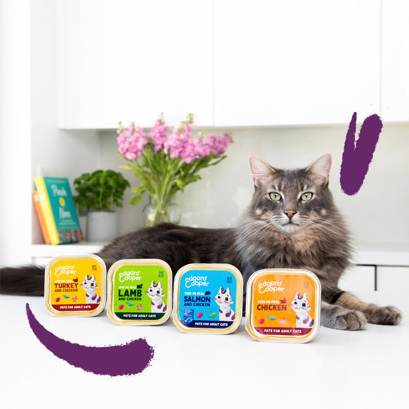 Edgard & Cooper Kat Adult Pate Multipack